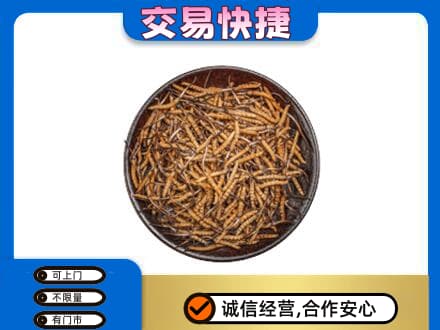 邯郸市广平回收散虫草
